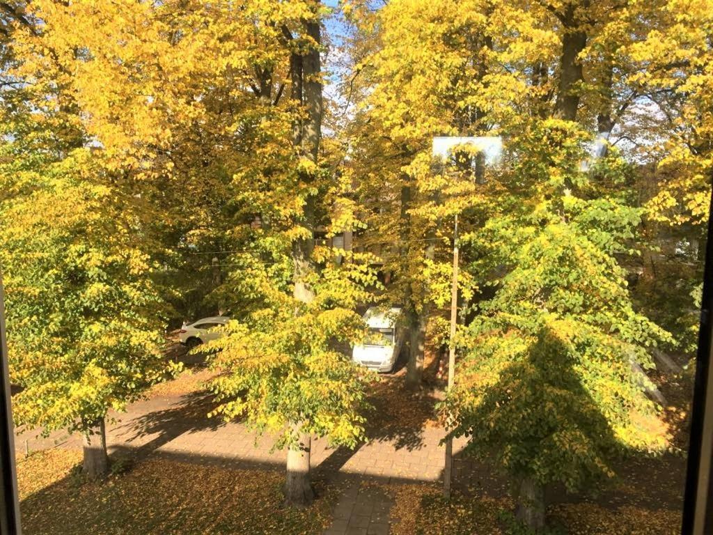 Apartamenty Zacisze コシャリン エクステリア 写真
