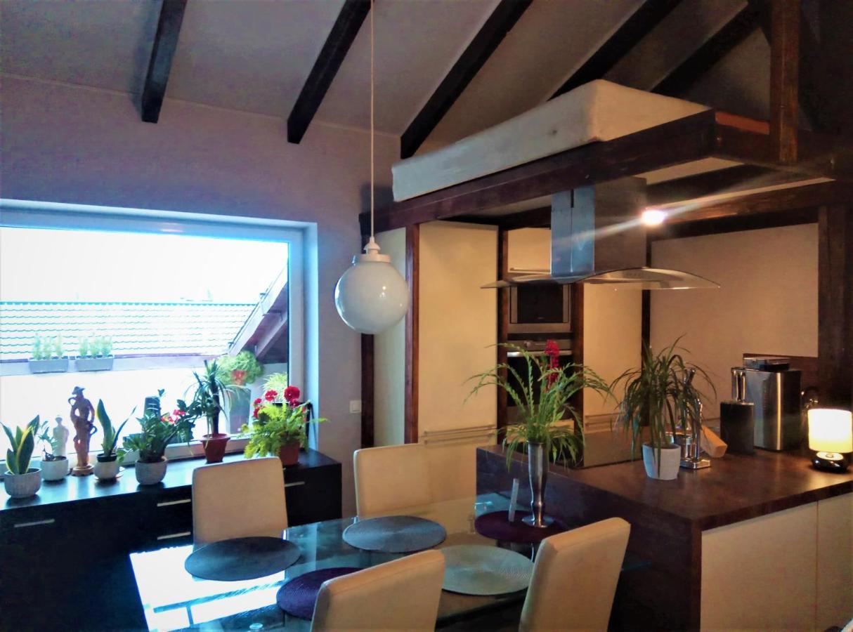 Apartamenty Zacisze コシャリン エクステリア 写真